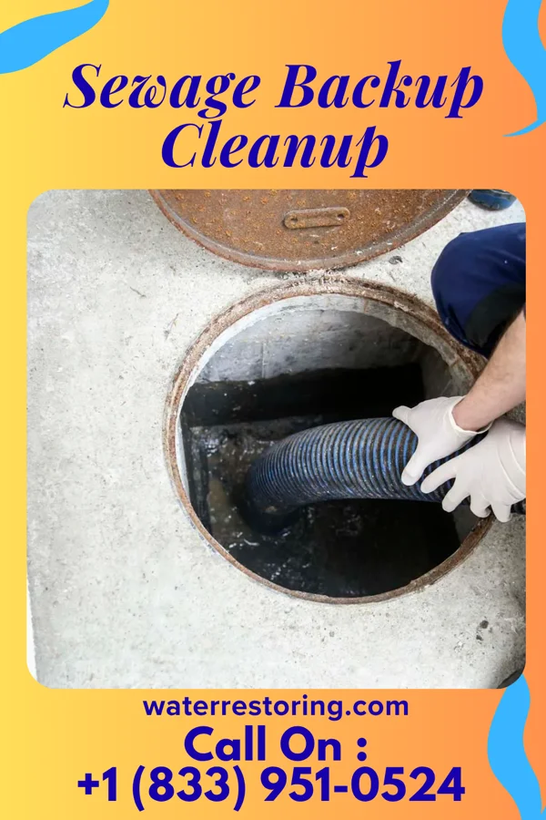 Sewage Backup Cleanup in Hazleton, PA